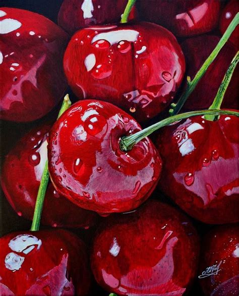 Cherry Fruit Drawing Realistic - bmp-news