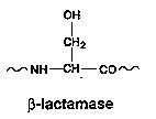 Organic Chemistry II: Beta-Lactamase