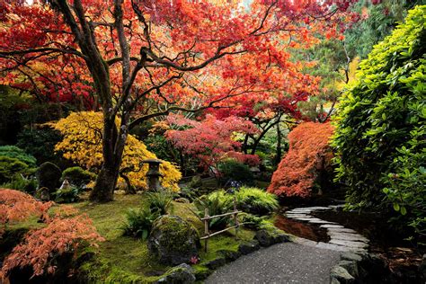 The most beautiful Japanese gardens in the world