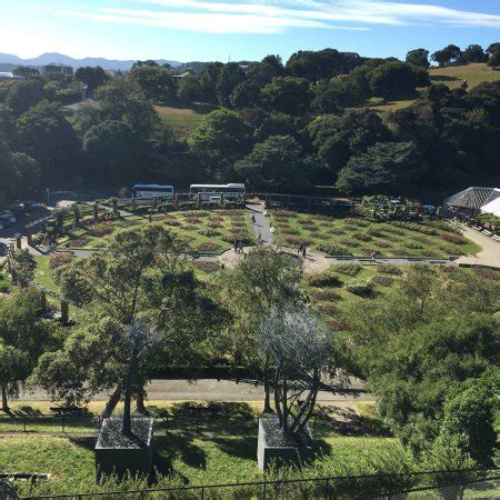 Wellington Botanic Garden - All You Need to Know Before You Go (with ...