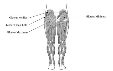 Slow Feet? Improve Foot Speed & Lateral Quickness: Train Hip Abductors | AQSpeed