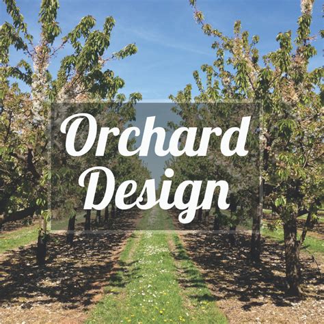 Orchard Design - Kent Attractions