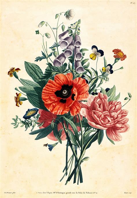 Vintage Botanical Prints Vintage Flower Print Vintage Artwork Vintage French Painting Vintage ...