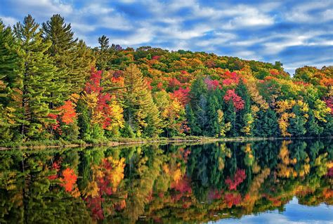 Arrowhead Provincial Park Photograph by Steve Harrington