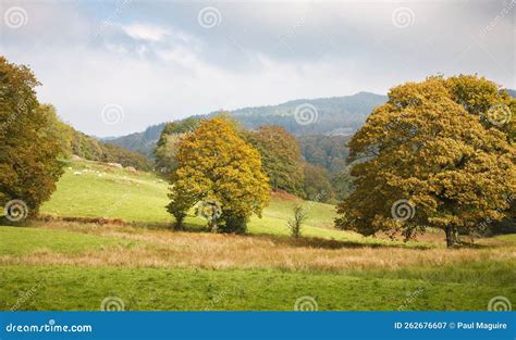 English Countryside, Lake District Stock Image - Image of environment, fall: 262676607