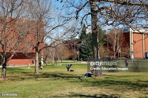 921 Montana State University Bozeman Stock Photos, High-Res Pictures, and Images - Getty Images