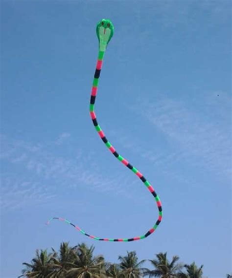 2line inflatable snake kite - Kite Bugs - KiteLife Forum