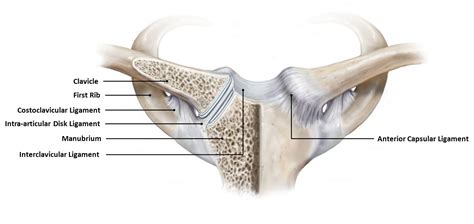 Sternoclavicular Surgery | Sternoclavicular Joint Injuries