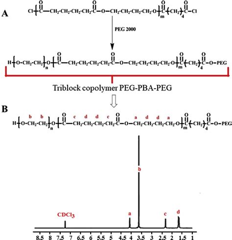 A The chemical synthesis formula of PEG-PBA-PEG triblock copolymers, B ...