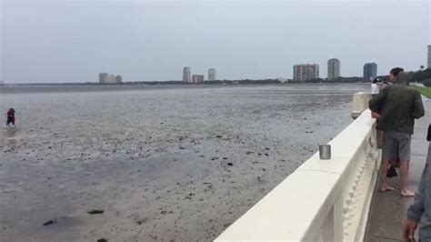 Storm surge brings water back to Tampa Bay | CNN