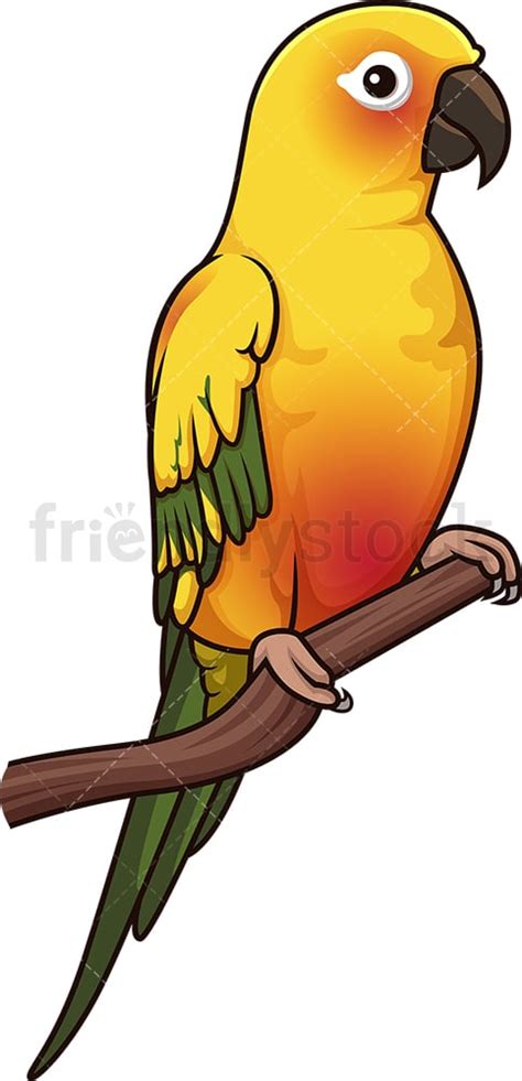 Sun Parakeet Cartoon Clipart Vector - FriendlyStock