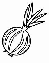 Onion Coloring Pages Free Printable PDF sketch template