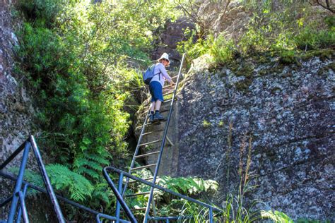 17 Things To Know About The The Pigeon House Mountain Didthul Walking Track. - What's On Watsons