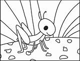 Grasshopper Coloring Pages  Roaring Spork sketch template