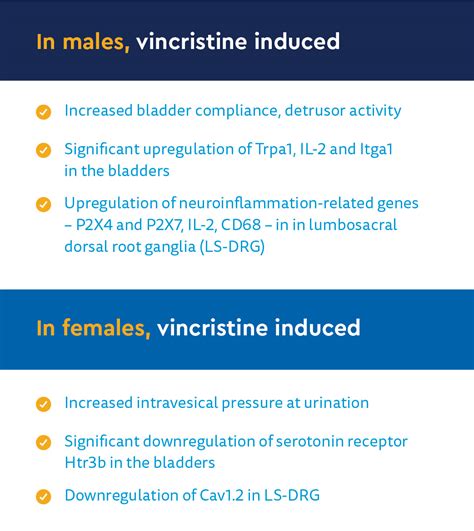 VCR and Lower Urinary Tract Function | Children's Hospital Colorado