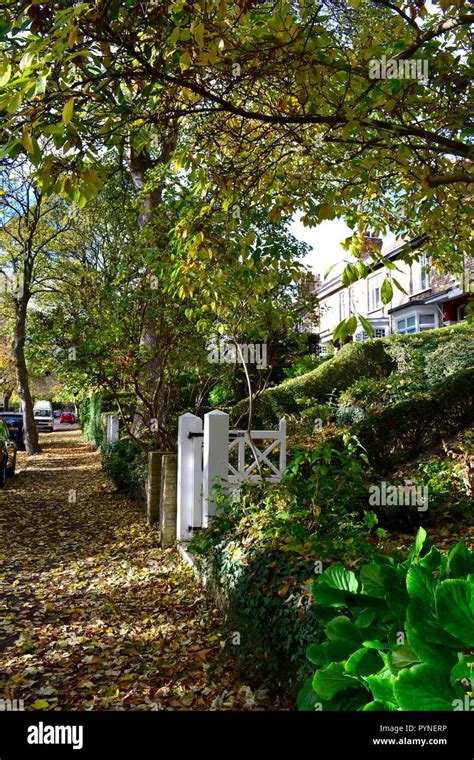 Colourful image of Hartburn Village and its' traditional old British style buildings, Stockton ...