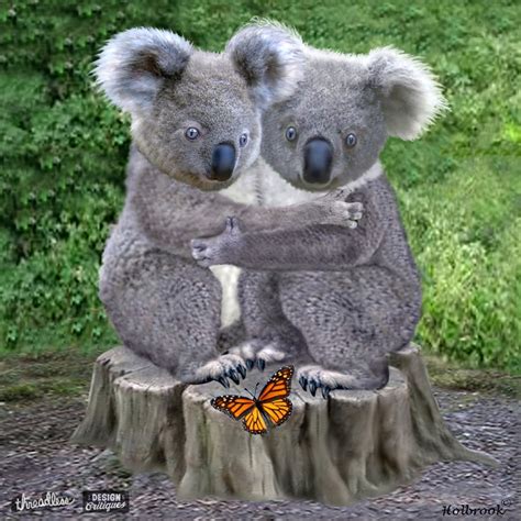 Hug A Cute Koala Anytime – Telegraph