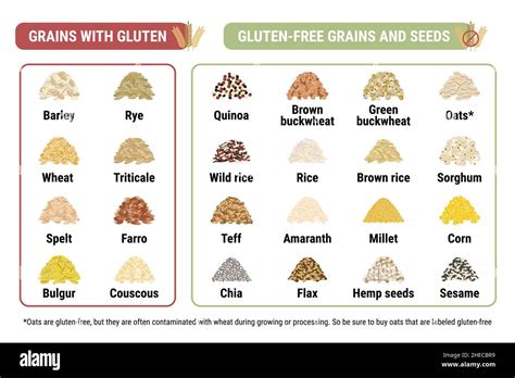 Gluten-free and containing gluten grains infographic. Healthy and unhealthy grains and seeds by ...