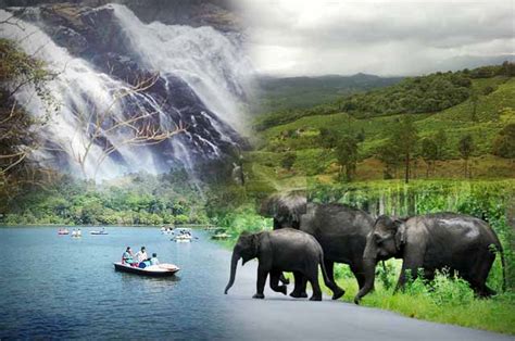 Best Kerala Tours - Sam India Tour