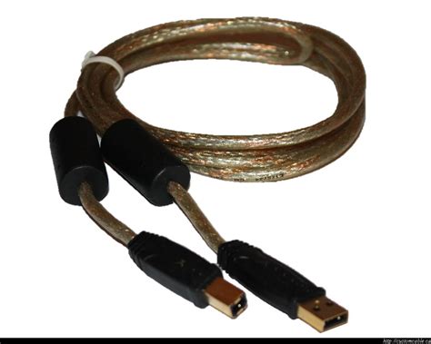 Premium 6.0 ft USB A to USB B Cable – CustomCable