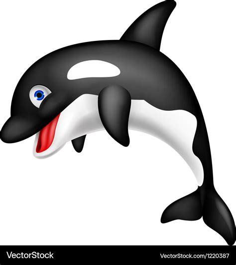 Cute orca cartoon Royalty Free Vector Image - VectorStock