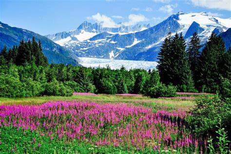 Best hikes in juneau alaska waterfall and glacier hiking trails – Artofit