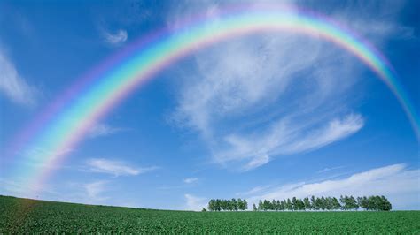 Landscape View Of Rainbow Above Trees HD Rainbow Wallpapers | HD ...