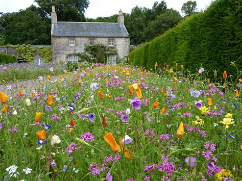 Culzean Garden, Scotland | Flowers, Butterflies and... | Pinterest ...