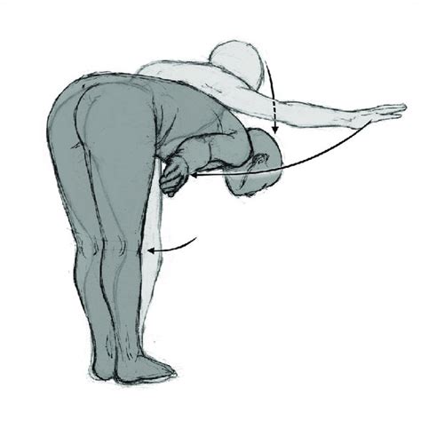 Positions. Standing posture with trunk flexion progression: posterior... | Download Scientific ...