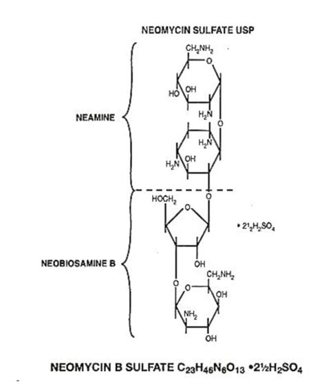 Neomycin description - wikidoc