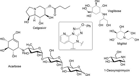 Important clinically used α-glucosidase inhibitors. The boxed structure ...