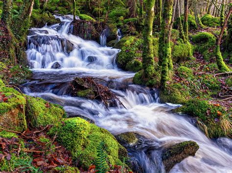 Beautiful waterfalls I found in snowdonia, North Wales [2000x1502] [OC ...