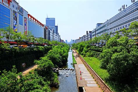 Free Images : City river, city, seoul, korea, Dongdaemun, urban area, transport, vegetation ...