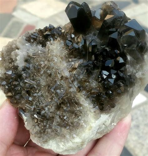 482g Unique Smoky Black Quartz Crystal Cluster Rare Clear | Etsy | Crystals, Black quartz ...