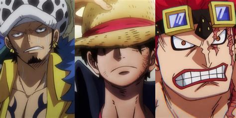 Luffy's Family Tree - Trace the Lineage of the 'One Piece' Pirate King