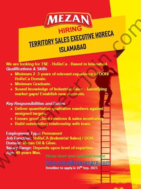 Mezan Group Jobs Territory Sales Executive