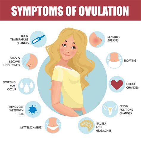 Fertility Symptoms After Ovulation