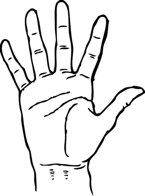 Hand Palm Facing Coloring Page | Coloring Sky