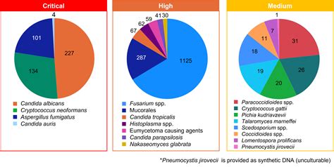 WHO Releases Priority Fungal Pathogens List | ATCC