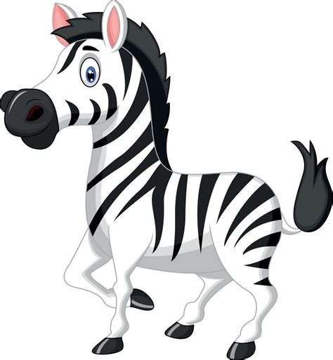 Gambar Zebra Kartun Png