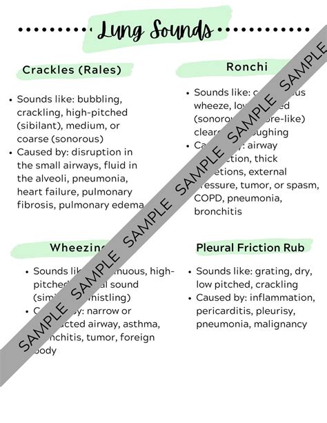 Assessment: Lung Sounds PDF Guide 2 Pages PDF Download for Nursing Students, Clinical, Cheat ...