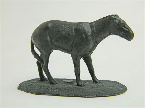 Eohippus, Hyracotherium 1/9 scale resin model Breyer Traditional Scale! | Spinosaurus, Horses ...