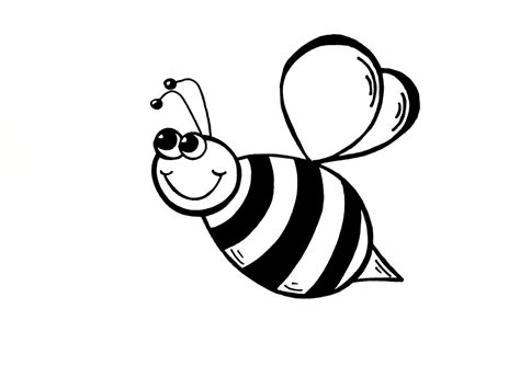 Bee Drawing | Free download on ClipArtMag