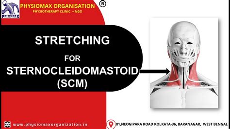 Sternocleidomastoid Stretching /Sternocleidomastoid/ Stretching/How to stretch SCM @Physiotutors ...