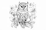 Owl Coloring Pages For Teens sketch template