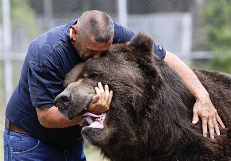 Grisly pastime: Hugging, playing with his bears - Northwest