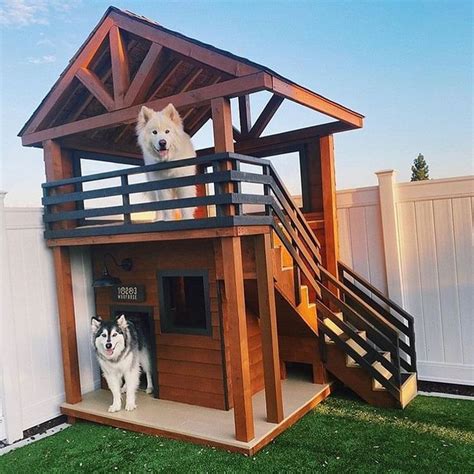 Topo 94+ imagem ideas para casas de perros - Abzlocal.mx