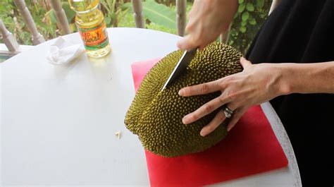 Open a Jackfruit the Easy Way: an Illustrated How-to Guide to Opening a Jackfruit | The Survival ...