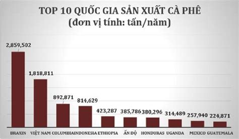 Những Quốc Gia Sản Xuất và Tiêu Thụ Cà phê Top đầu Thế Giới