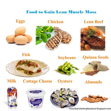 Food you need to Eat to Gain More Muscle Mass - LiteracyBase